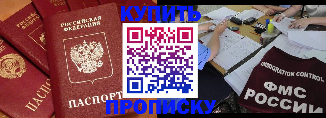 временная регистрация для всех в Алейске